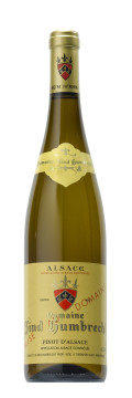 Pinot d'Alsace 2000