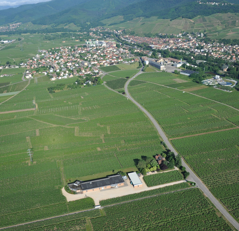 Domaine Zind Humbrecht Turckheim 3